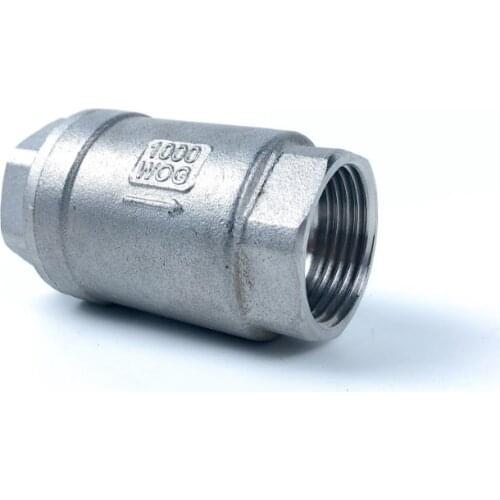 1/4''3/8''1/2''1''3/4''2'' Stainless Steel SS304 vertical lift In Line Spring Check Valve DN8 DN10 DN15 DN20 DN25 DN32 DN40 DN50