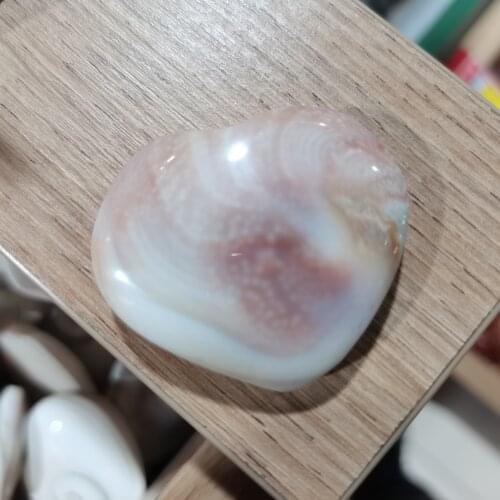 Delicate Natural Stone Shell Heart-Shaped Madagascar Sun Shell Crystal Heart Shell Stone Snails Shape Healing Dreamlike Gift