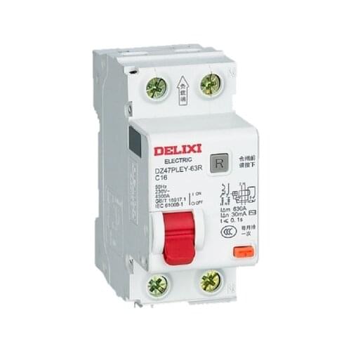 DELIXI RCBO Double-in and Double-out Earth Leakage Protector DZ47PLEY CDB3LE 6A 10A 16A 20A 25A 32A 40A Circuit Breaker