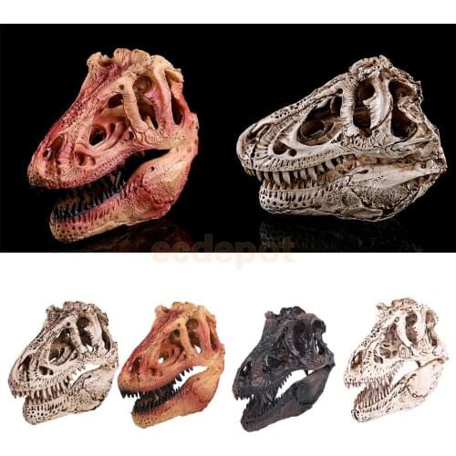 1/10 Scale Lifelike Dinosaur Tyrannosaurus Resin Fossil skull Model Collectibles