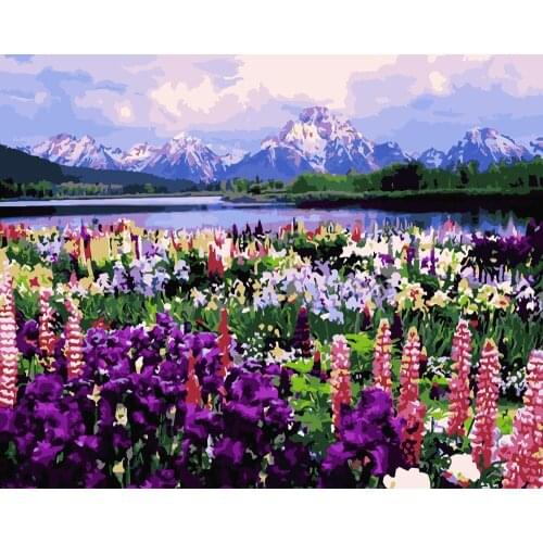DIY 40X50 Oil Painting By Numbers Snow Mountain Lavender paint by numbers On Canvas Home Decor Digital Painting chrismas