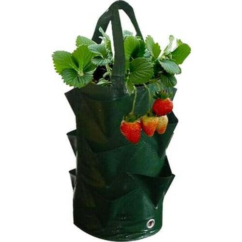 Outdoor Grow Bag for Plants Hanging Strawberry Bag Breathable Planter Pot Pe Growing Bags for Vegetable Vertical Garden Tool