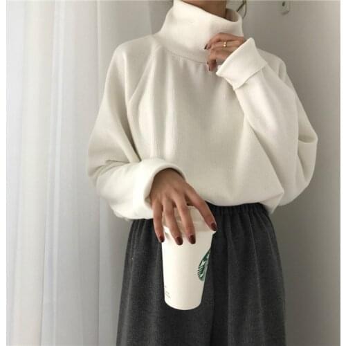 Turtleneck Sweater 2020 New Autumn Winter Knitted Jumper Womens Sweaters Casual Loose Long Sleeve Jacket Pullovers Female tops