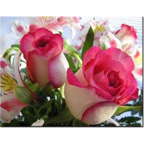 2019 New Diamond Embroidery Scenery Rose Flower Cross-Stitch Full Drilling square mosaic diamant art Valentines Day Gifts L411