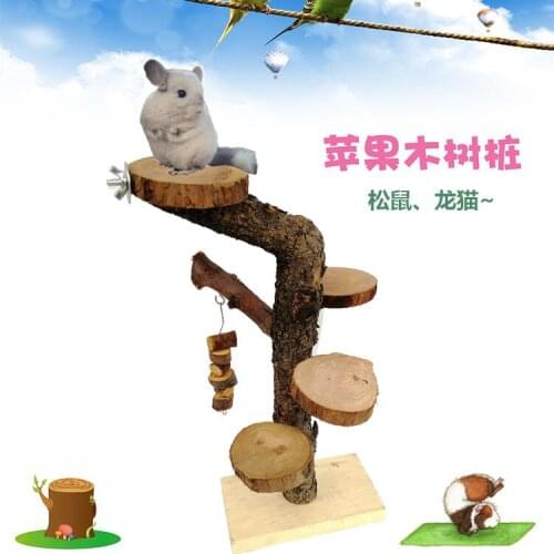 Hamster, Golden Bear, chinchilla, toy hamster, climbing apple tree stump, decorating tree fork, jumping platform, pet molars