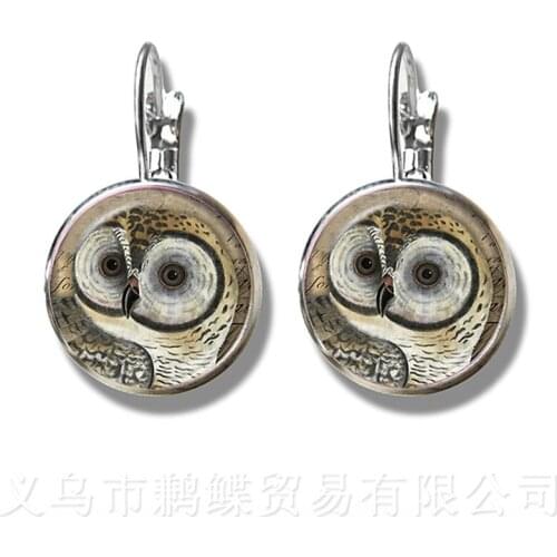 Owl Pattern Classic Stud Earrings Insect Art Picture 16mm Glass Cabochon Dome Silver Plated Earrings For Women Girls Gift