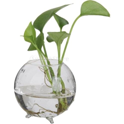 SUNTEK Glass Flower Hydroponic Vase Micro Landscape DIY Bottle Terrarium Container