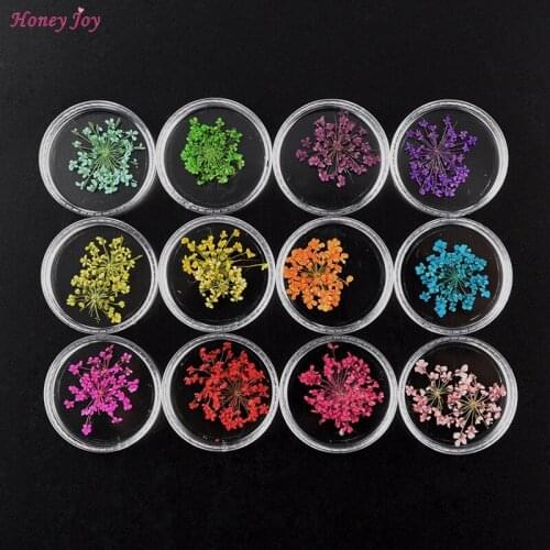 12 Colors 3D Real Dried Dry Flower Leaves Nail Art Decoration UV Gel Nails Stickers Nails Manicure Tips Decals