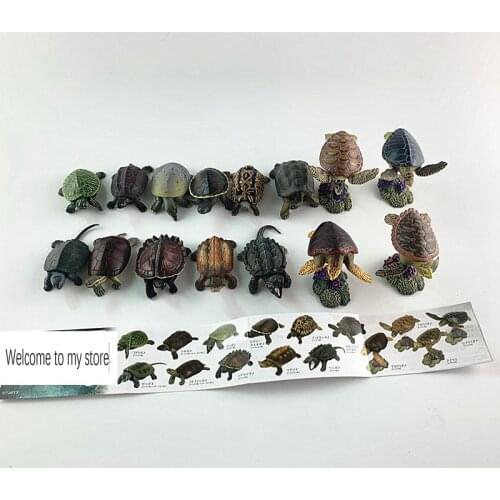 Pvc figure simulation model toy turtle 15pcs/set