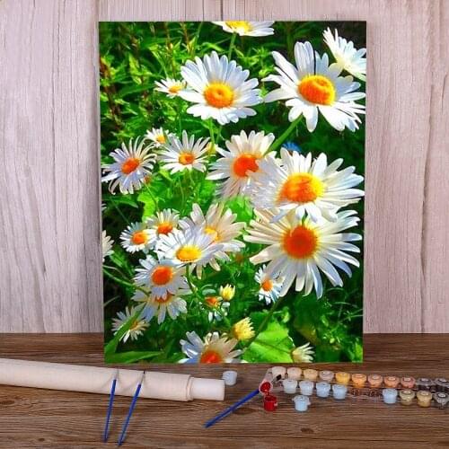 Flower DIY Paint By Numbers Complete Kit Acrylic Paints 50*70 Boards By Numbers Wall Decoration For Children For Handicraft