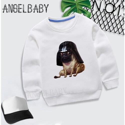 Boys Girls Sweatshirt Kids Toothless The Night Fury Cartoon Hoodies Children Autumn Tops Baby Cotton Clothes,KYT2269