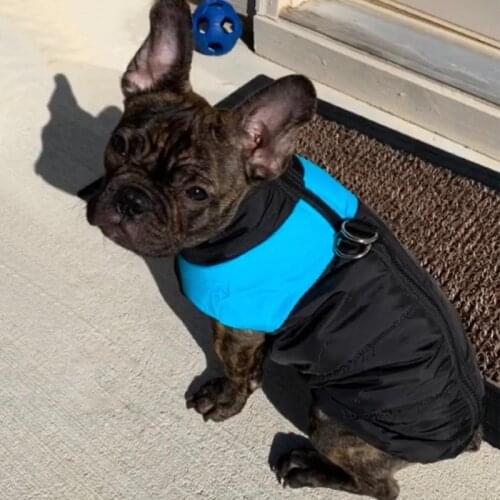 Winter Dog Jacket Warm Pet Dog Clothes Puppy French Bulldog Hoodies Vest Clothing Waterproof Winter Clothes For Small Large Dogs