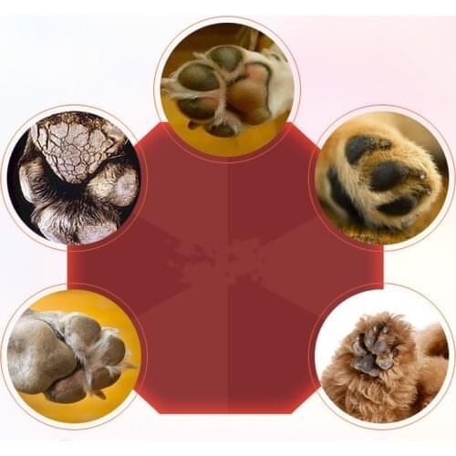 Dog Cat Pet Paw Care Creams Puppy Paw Anti-cracking Care Cream Moisturizing Protection Forefoot Toe Safety Health Pet Products