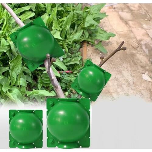 10Pcs Plant Rooting Equipment High Pressure Propagation Ball Garden Graft Box Breeding Case Plant Rooting Device
