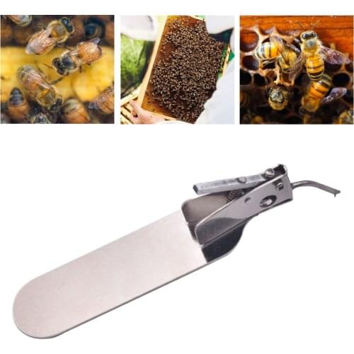 Bee Queen Beekeeping Master Grafting Tool With Spare Tongue Goods Tools For Beekeeper Supplies