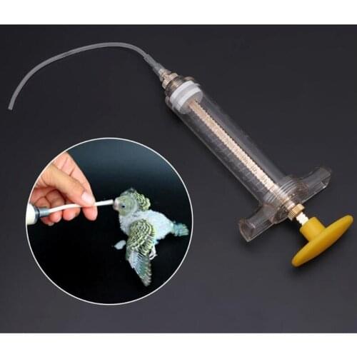 10/20ml Parrot Chick Feeder Copper Head Syringe Hose Birds Feeding Syringe Injector Supplies Bird Feeders