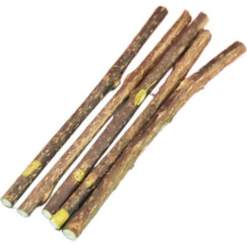 5 PCS Natural Catnip Pet Cat Molar Toothpaste Stick Kitten Dental Care Silvervine Cat Snacks Sticks Pet Cleaning Teeth Product