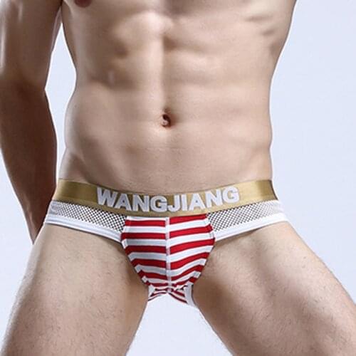 Mens Cotton Mesh Fishnet Brief Underwear Striped Sexy Briefs Breathable Underpants Bikini Panties Gay Underwear U Convex Design