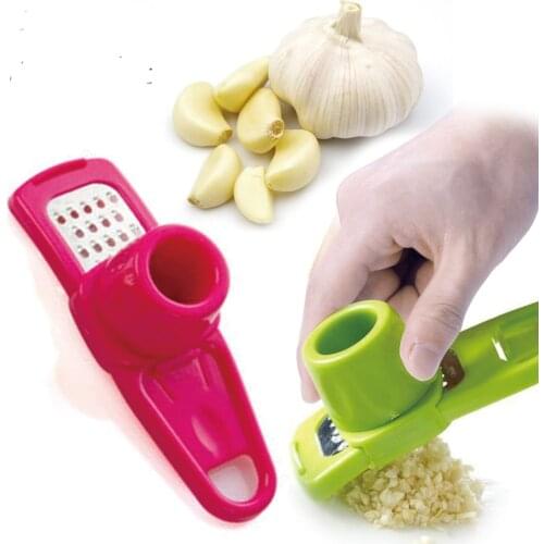 Delectable Garlic And Garlic Press