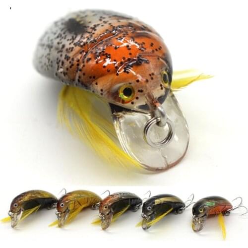 2020 Exquisite Fishing Tackle Peche 35mm 4g Cicada Bait Hard Plastic Fishing Lure Insect Bug Lure