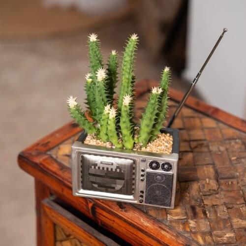 Television TV Shaped Flower Potted Home Furnishing Cute Storage Box Resin Crafts Pots for Plants Succulent Pot Planter Pot