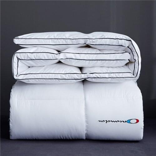 2021Hot sale Champion spring and autumn thin feather velvet quilt core single and double student dormitory quilt space quilt