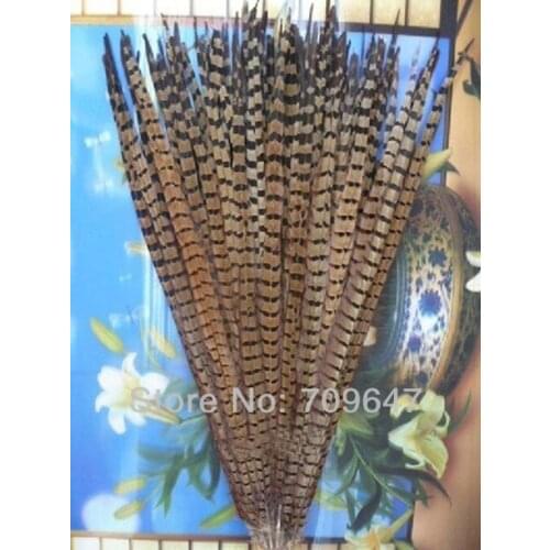 Wedding decoration!50Pcs/lot 22-24inch(55-60cm) Natural Ringneck Pheasant Tail Feathers Pheasnt feathers A Quality