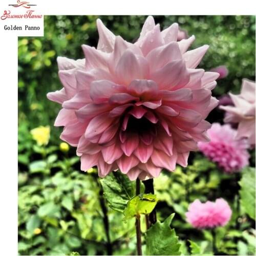 Golden Panno,3d plant cross stitch,14CT 11CT DMC hand made cross stitch kits,flower Needlework embroidery Cross Stitch 0123