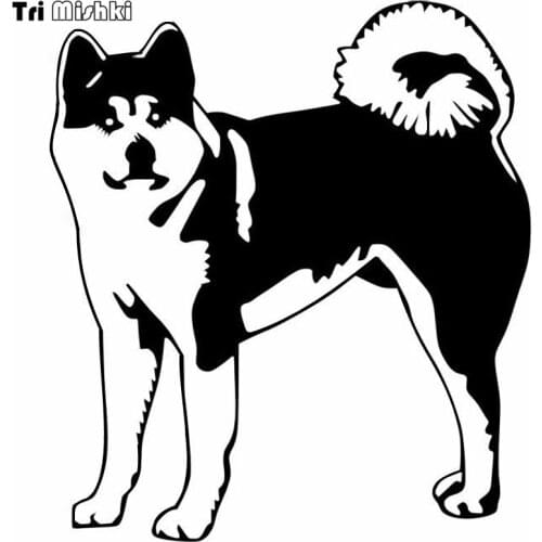 Tri Mishki HZX387# 16.9*15cm american akita on board car sticker auto funny car stickers