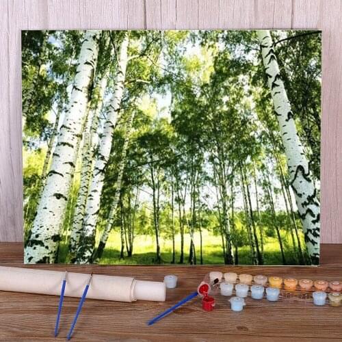 Landscape Tree Coloring By Numbers Painting Set Acrylic Paints 40*50 Canvas Pictures Handmade For Adults Handicraft Art