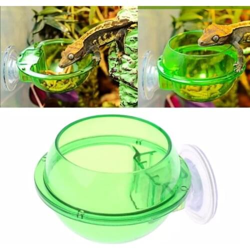 2021 New 1pc Reptile Water Bowl Food Sucker Feeder ABS Food Bowl For Arboreal Reptile water feeder Pets Dish Tools Accessories