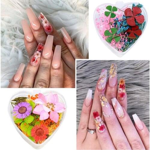 Dried Flower Nail Rhinestones Set Mixed Butterfly Foil Shell Paillette 3D Nail Art Decoration Bead Manicure Accessories