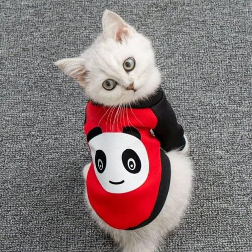 Cat Clothes Classic Black Long Sleeve Two-legged Sweater Pet Cat Dog Coats 3D Printed Panda Puppy Clothes Soft Teddy Sweater