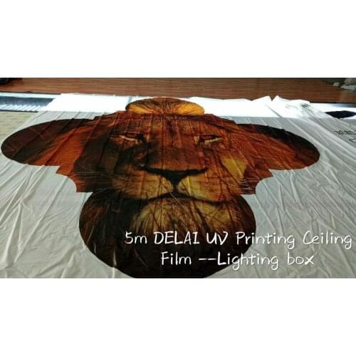King Forest Lion Vivid Printing ceiling film suitable for Ceiling or Wall Decoration