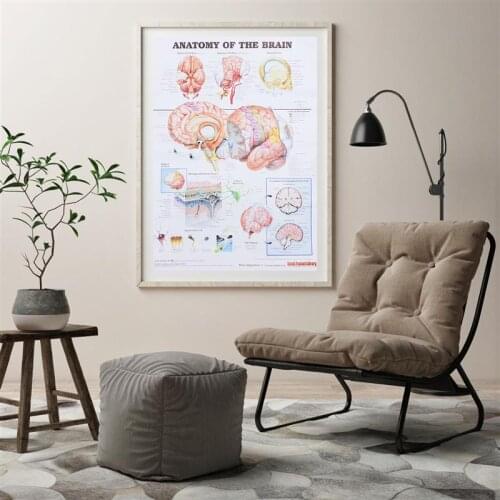 Human Anatomy Poster Brain Anatomy Poster Science Chart Printed Poster