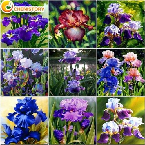 CHENISTORY Scenery Paint By Numbers Bule Flower Diy Drawing On Canvas HandPainted Pictures By Numbers Home Decor Art Adults Kit