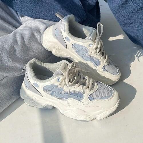 New Summer Breathable Mesh Women Chunky Sneakers Casual Joker Tennis Clumsy Sneaker Trendy Female Shoes Gary Dad Shoe