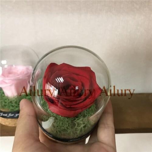 40%off,Red/pink Mini Eternal Flower Rose Glass Cover Gift Box,Moss Rose,Creative Valentines Day Gift,Thanksgiving Day