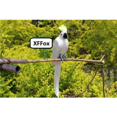 Big real life white parrot model foam&feather simulation Cockatoo bird gift about 60cm xf2631