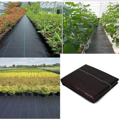 Ecology Agricultural Permeable Weeding Cloth Garden Orchard PE Anti-Grass Ground Mats Greenhouse Weed Barrier Fabric Plant Cover