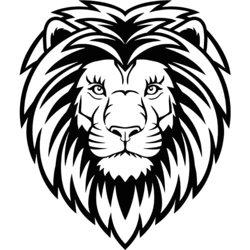 RuleMylife Serious Lion King Head car stickers decal anime cute car accessories decoration pegatinas para coche