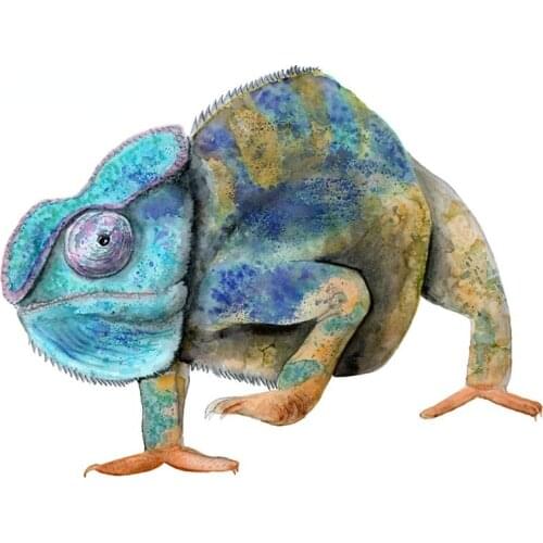 13cm x 10cm for Chameleon Vinyl Scratch-proof Car Stickers Air Conditioner Laptop Decoration Waterproof VAN Decal