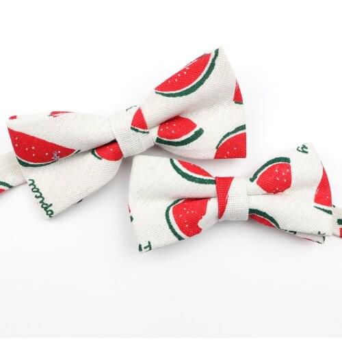Cartoon Linen Parent-Child Bowtie Set Fruits Animal Flower Family Butterfly Party Dinner Wedding Design Cute Bow tie Accessory