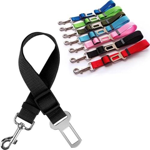 Gabe Collars, Harnesses And Leashes