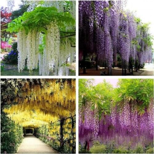 1Pc Vine Wisteria Artificial Flowers Wedding Arch Gazebo Decoration Home Fake Hanging Garland Plant Bunch Simulation Decor