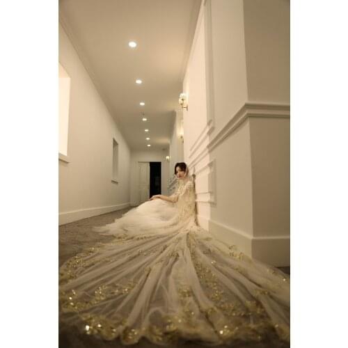 2021 New Womens Long Sequin Lace Gold Lace Sequins Bridal Wedding Bridal Veil With Comb 3.5 Merters Long 1 Tire Champange Veils