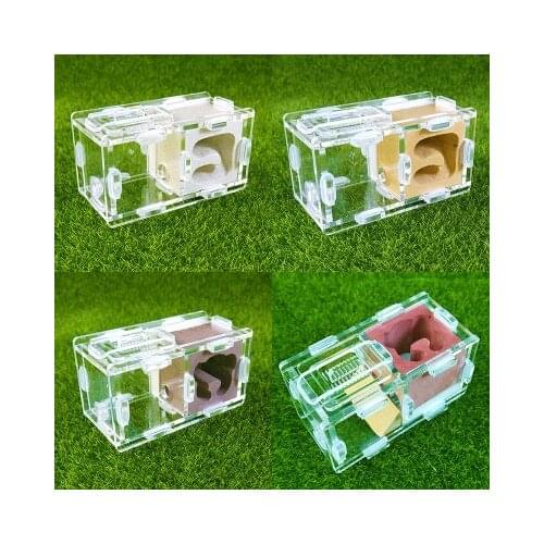 Splicing No. 0 Bionic Acrylic Gypsum Ant Nest Pet Ant Castle Workshop Home