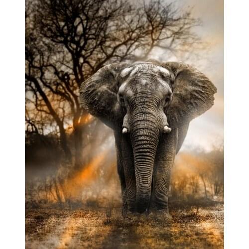 Animals Elephant 5D Square Olifant in schemer full drill Diamond Painting Embroidery pattern Cross Stitch kits Mosaic crafts