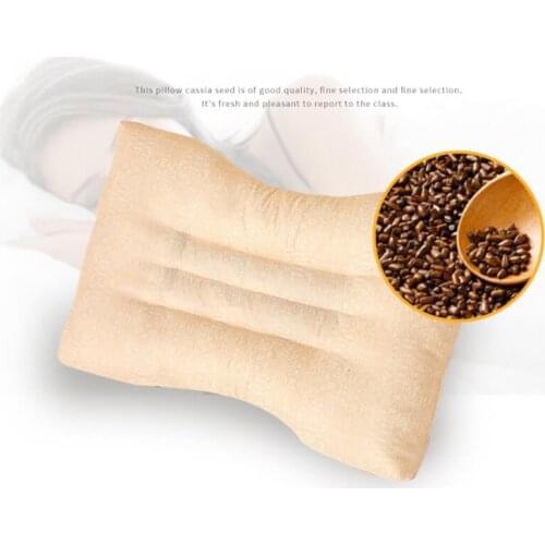 HealthDay Orthopedic Sleep Pillows