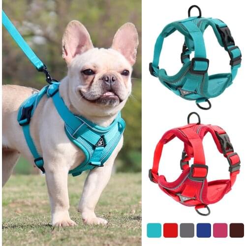 Front Range Dog Harness No Pull Adjustable Reflective Nylon Padded Dog Harness and Leash Pet Safety Vehicular Leads for Dog Cat